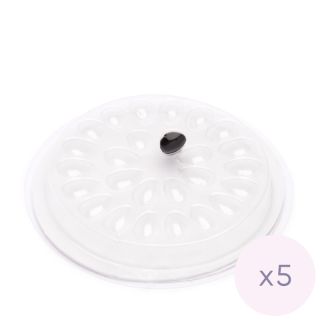 Einweg-Klebehalter, 5 Stk.3 Starry Wimpern